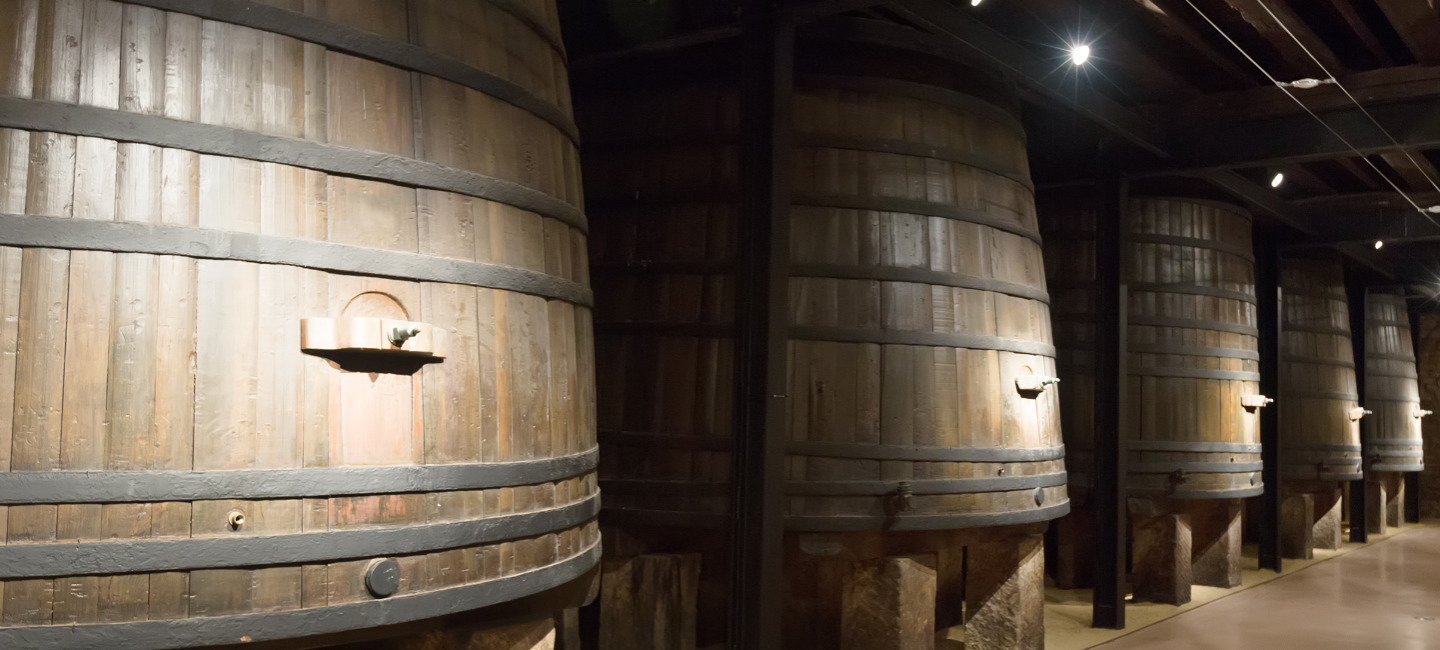 Barris grande para armazenamento do vinho