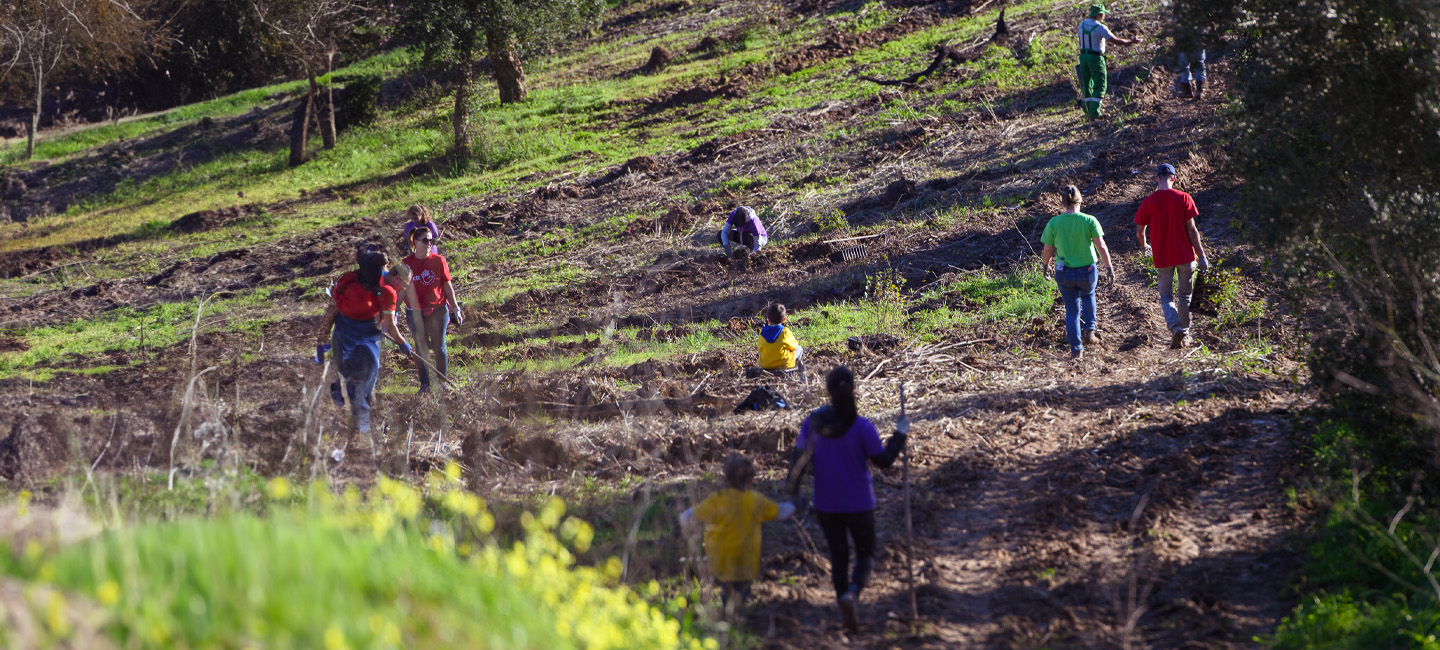 Várias pessoas a ajudar a plantar árvores no campo.