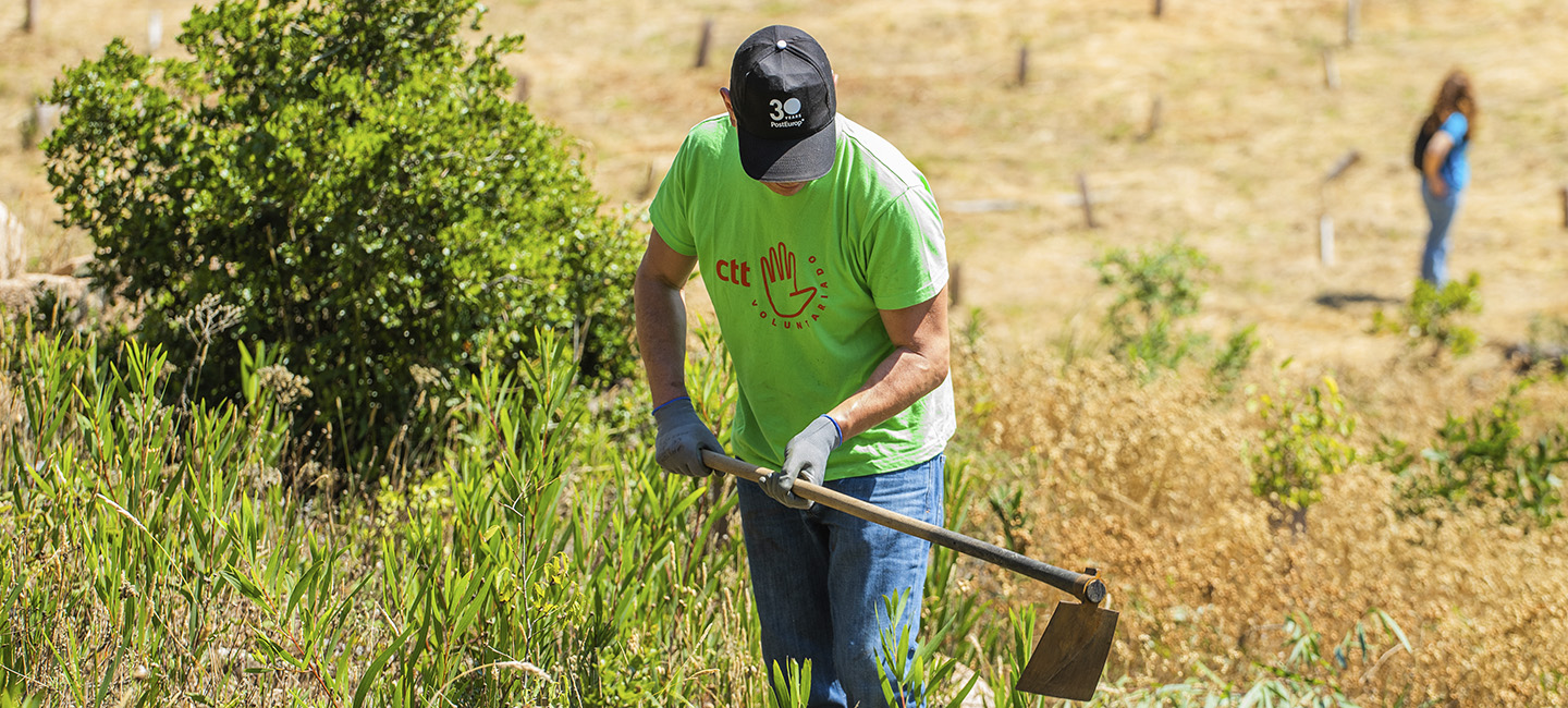 Homem a plantar árvores