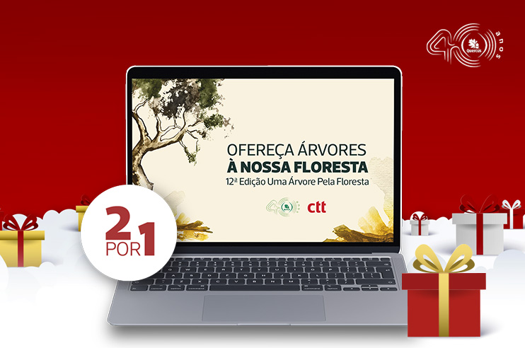 Imagem natalícia com o conceito 